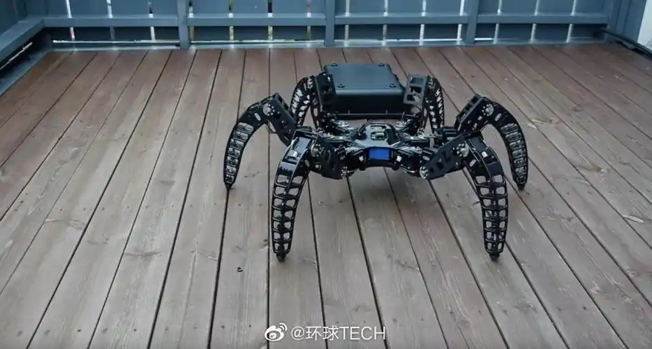 蜘蛛机器人面世:可进行洞穴研究