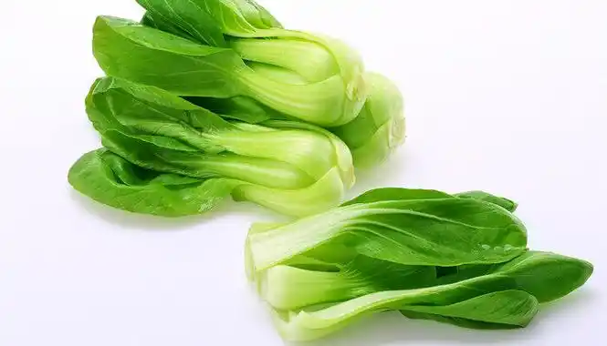 上海青菜生长期多少天 上海青生长周期有多久 创业知识库