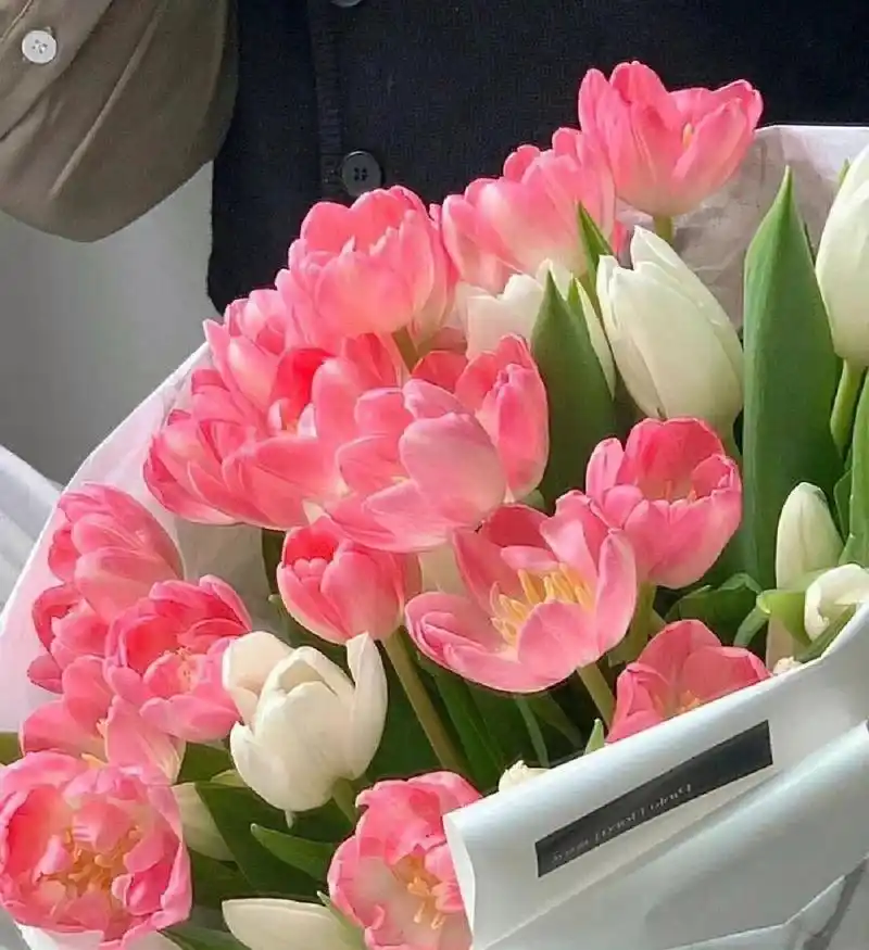 粉色系可爱背景图|wechat 背景图分享