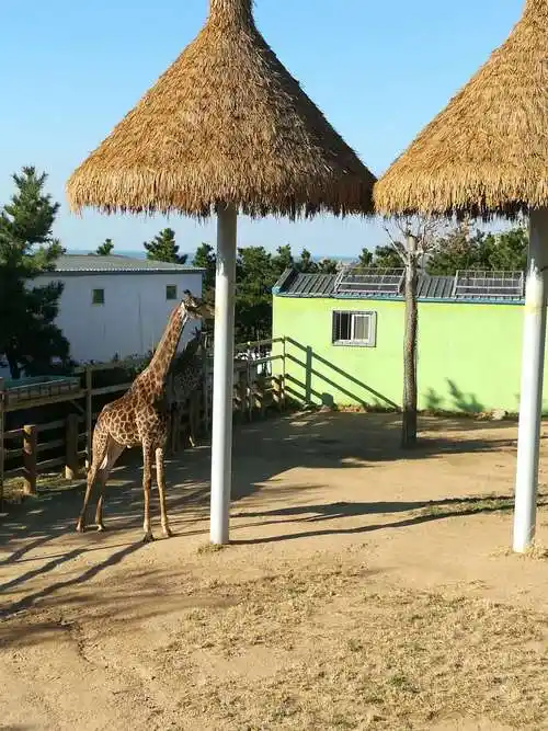 西霞口动物园,你去过吗