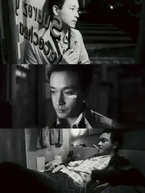 浪漫爱情电影93|9815王家卫「春光乍泄」