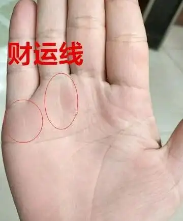 拥有帝王手相的人,天生的富贵命 帝王命面相