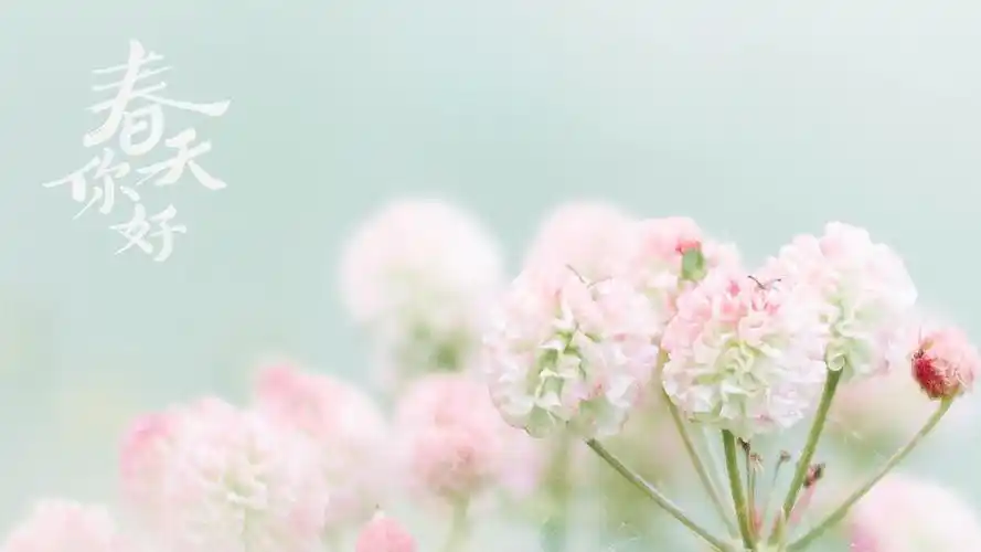 你好春天小清新淡雅风光