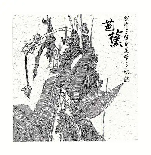 liubai留白美学线描写生芭蕉