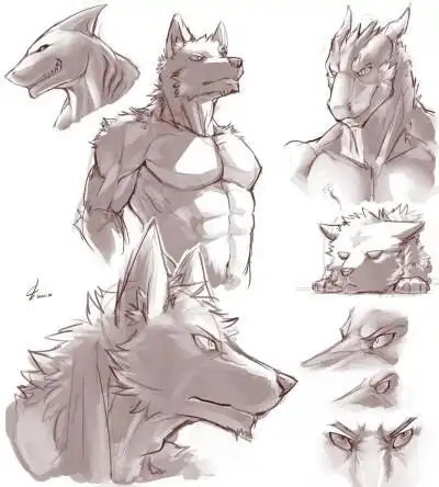 狼- 堆糖,美图壁纸兴趣社区