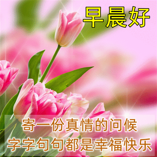 特别漂亮好看早安正能量祝福问候动态图片,最新早上好问候祝福语
