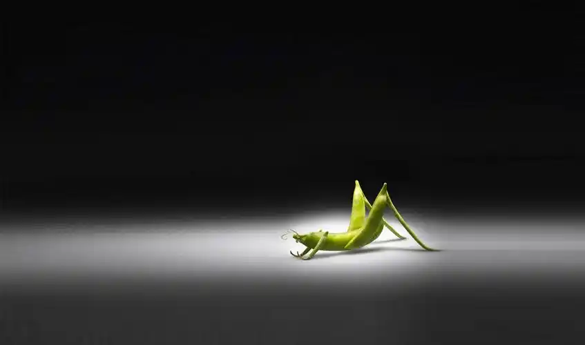 经典艺术图像高清桌面宽屏壁纸_豆豆系统