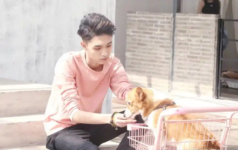 秦霄贤 - 堆糖,美图壁纸兴趣社区