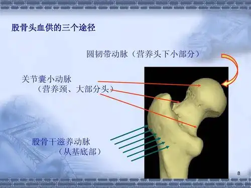 (1)股骨颈,转子间骨折ppt