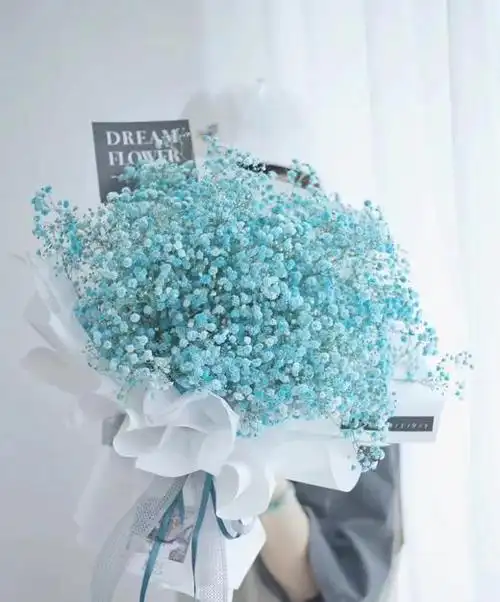 满心欢喜满天星花束白色粉色天蓝色紫色