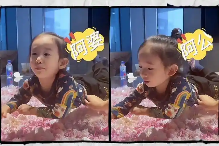 hoho扎小辫长相秀气,jasper曾被中文难哭_陈小春_长辈_孩子