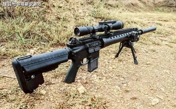 也是一种多用途步枪,在外形上与mk11有些相似,但mk12有些模组化,它能