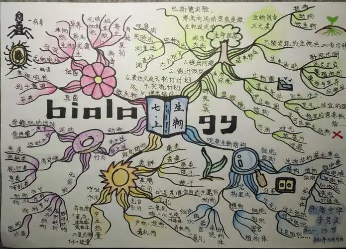 疫情退去,导图花开,初一生物优秀思维导图展