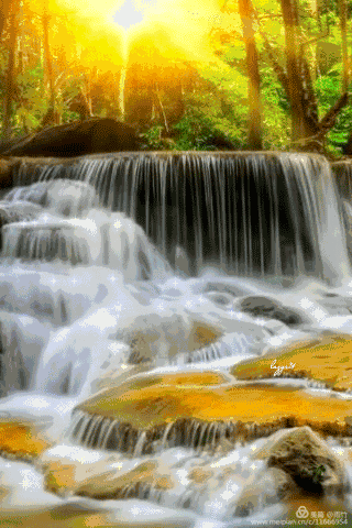 320_480竖版 竖屏gif 动态图 动图