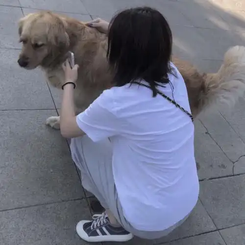 ins风格女头.自截自调.注ks李乐颜