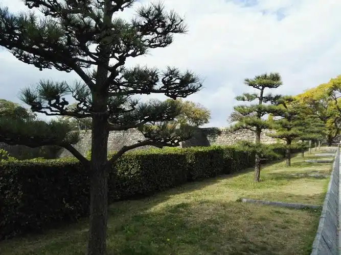 已亥初冬游日本日记