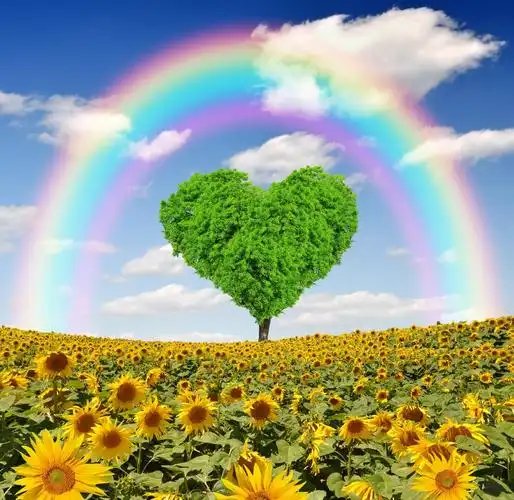 彩虹,爱心树,草地,田野,树木,风景图片_自然风景图片_彼岸图网pic.