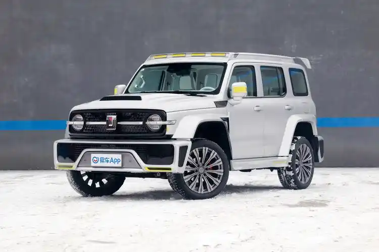 2021款坦克30020t赛博坦克