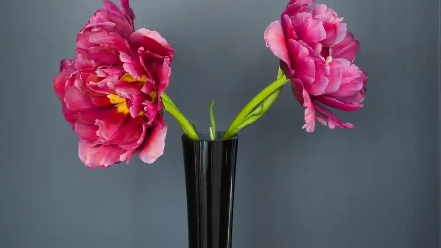 唯美室内花卉桌面壁纸下载 第三辑