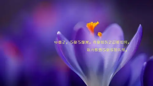 一个人心累了伤感带字图片