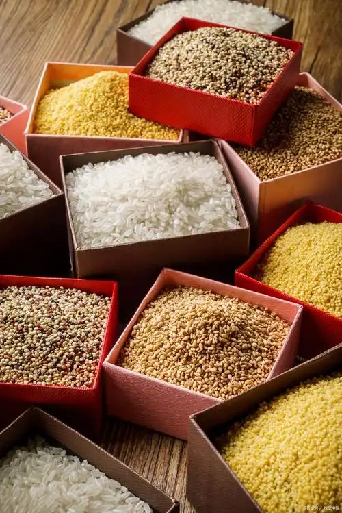 五谷美食的生活乐趣:自己动手,享受美食