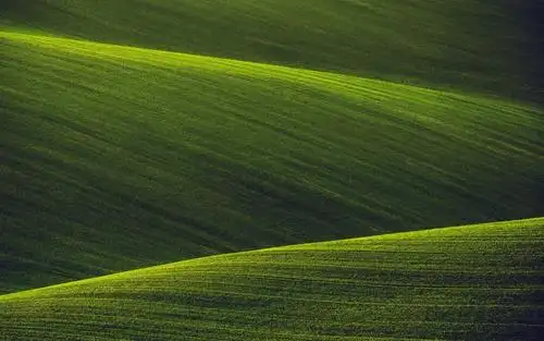 场,绿色,自然,高清图片-纯色壁纸