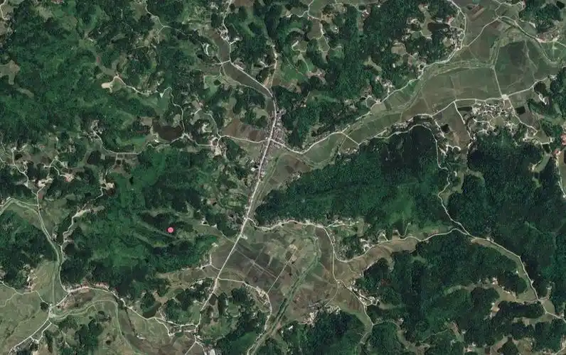 曾国藩祖坟风水金鸡啄米穴