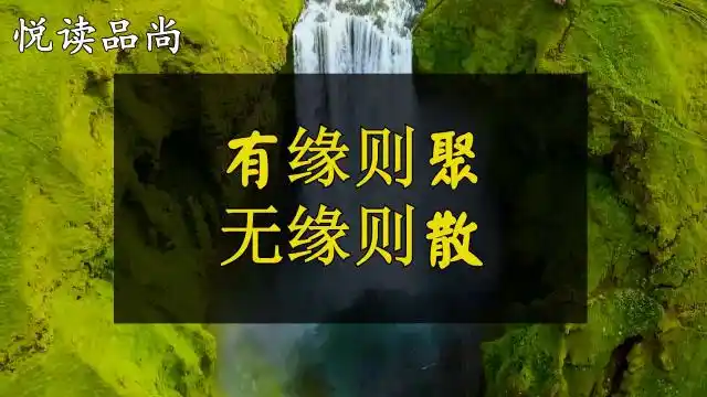 人与人之间,相遇是一种缘分,有缘则聚,无缘则散