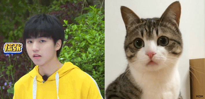 [王俊凯][分享]171019 王俊凯眼神杀合集 一双桃花眼撩动万人心