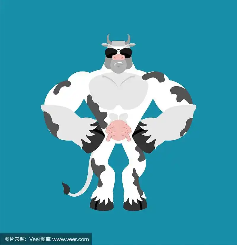 牛强壮酷严肃.农场动物严格.矢量图