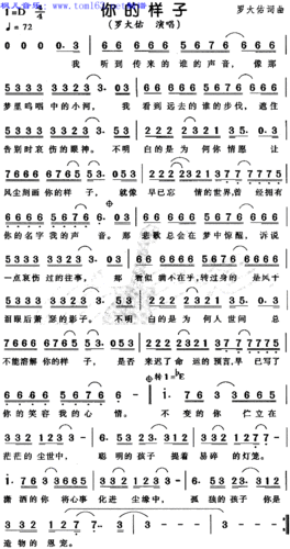 你的样子简谱歌谱