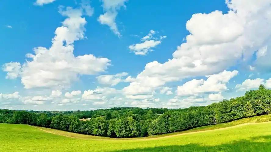 桌面绿色风景壁纸大全 护眼-绘画壁纸 - 壁纸家