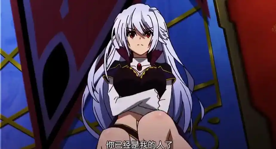 番名:魔弹之王与战姬