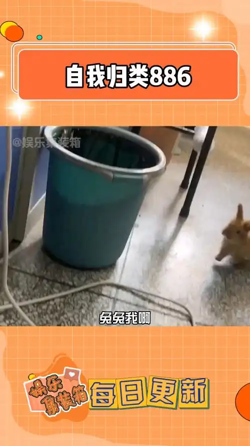 喜欢跳垃圾桶的兔子