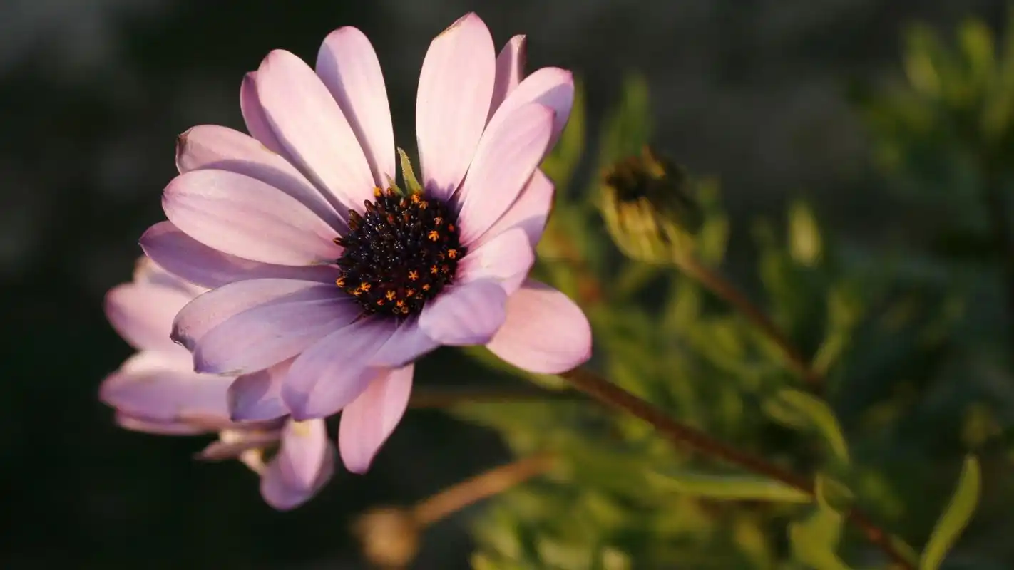 有些话我不是说不出来是我表情跟不上