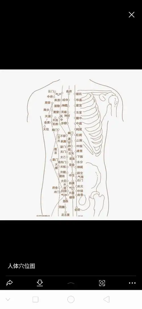 求职帮计划三种调和精油艾草精油当归精油生姜精油68
