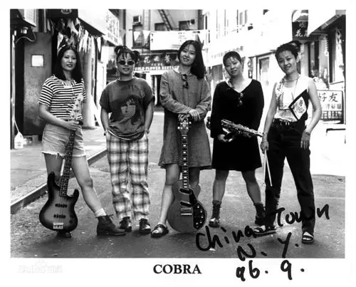 作为中国第一支女子摇滚乐队眼镜蛇的主唱肖楠冷冷地酷了一个时代