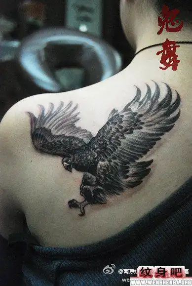 女人肩背老鹰纹身图案