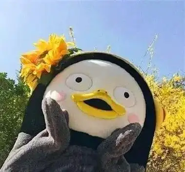 搞笑沙雕头像合集 😂