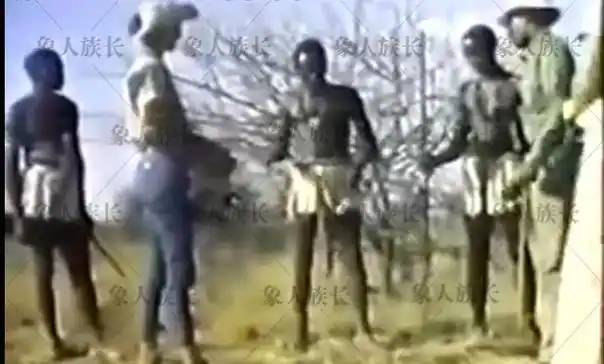 象人族图片(象人族 百度百科)