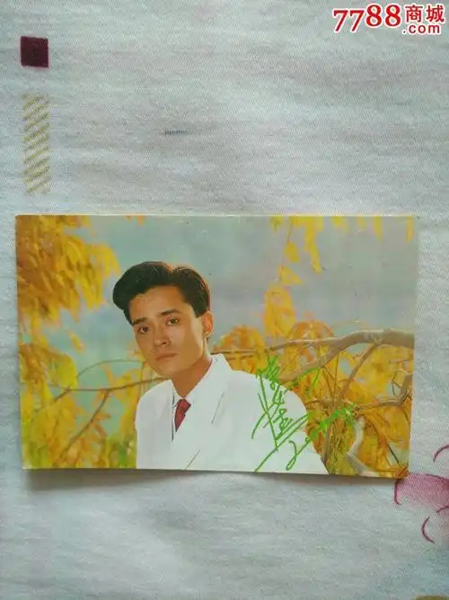 陈汝佳:198*年历卡