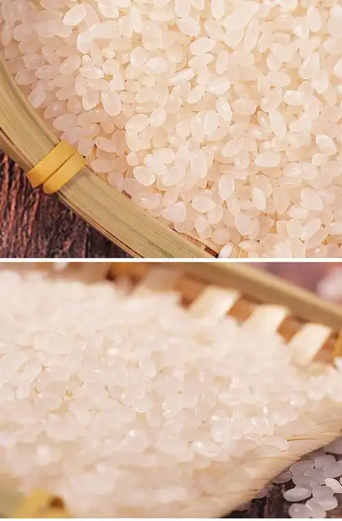 5折 东北大米10斤秋田小町珍珠香米5斤装圆粒米批发 珍珠香米10斤