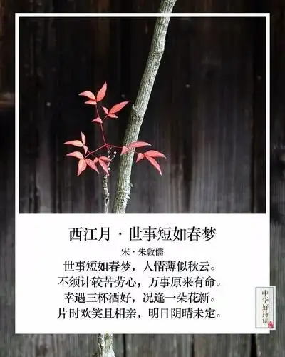 生活纷纷扰扰,这多是自己的心思在作祟,放下执念方得自在的人生态度你