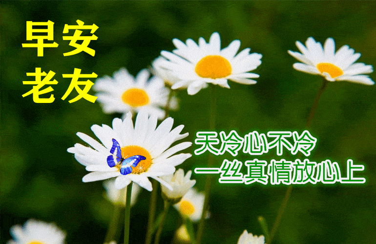 秋月迷人,秋花香人,秋叶动人,秋果喜人,秋思恼人,秋情暖人,秋语乐人