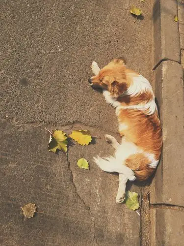 日常拍摄-堆糖,美好生活研究所