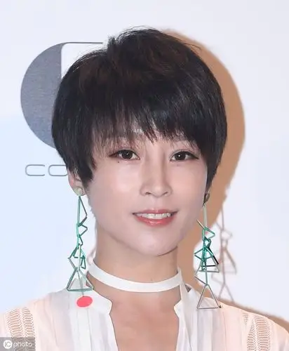 吴京背后的女人谢楠出色的主持人气质型女演员短发干练清爽