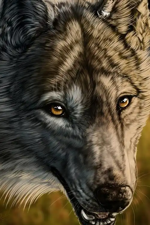 艺术绘画,狼,獠牙