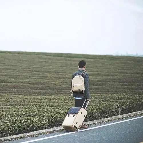 陪你到目光所及之处远行