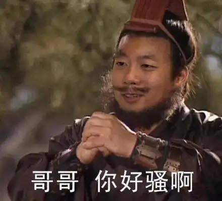 哥哥你好骚啊(张飞 好骚男孩洪世贤)