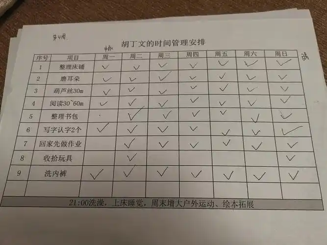 do323七月2019年04周小子的寒假家务计划表
